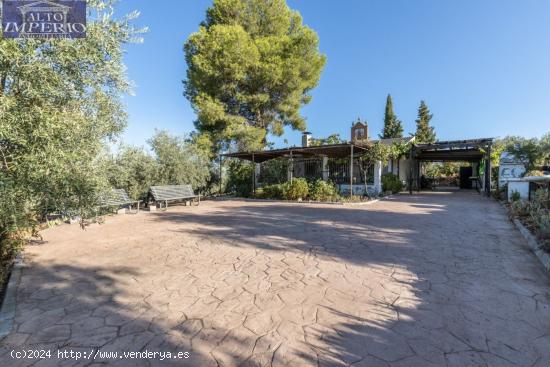 Casa rural con 300 olivos de riego y almendras - GRANADA