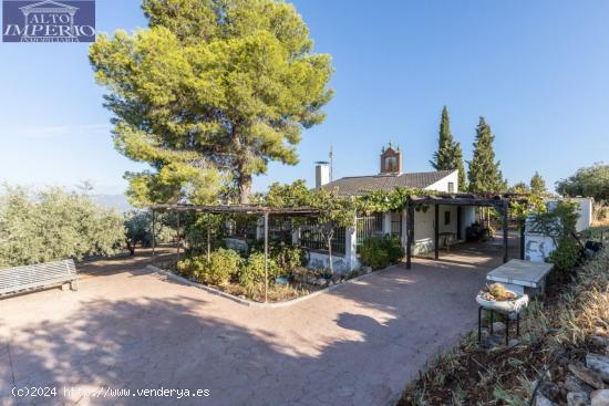 Casa rural con 300 olivos de riego y almendras - GRANADA