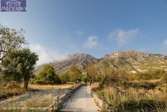 CONSTRUYE EL NEGOCIO DE TUS SUEÑOS EN PLENA NATURALEZA!!! - GRANADA