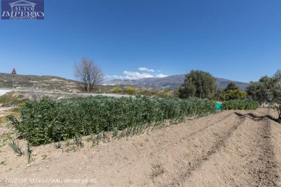  VENTA DE ESTUPENDO TERRENO URBANO EN EL VALLE - GRANADA 