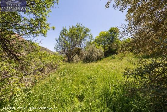  Terreno en venta Guejar Sierra - GRANADA 