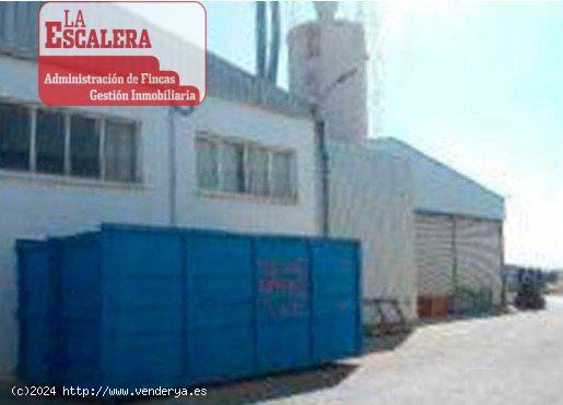 Magnifica nave industrial de 4000m2 - MURCIA