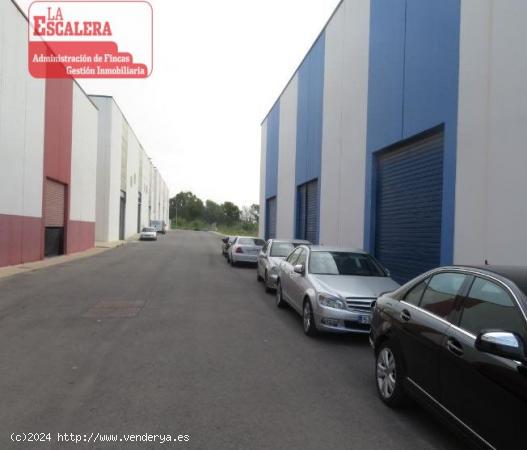 Se vende nave industrial con 8 puertas, Finestrat - ALICANTE