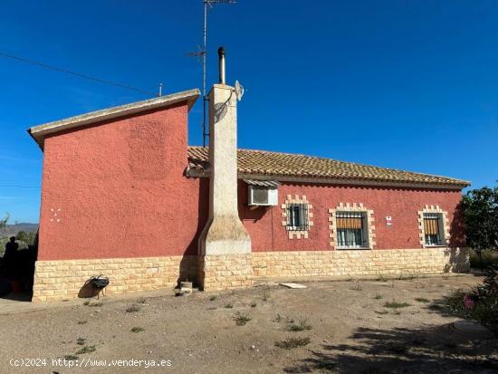 FINCA CON CASA Y ALMACENES EN EL ESPARRAGAL - MURCIA