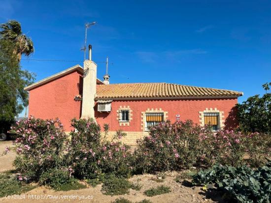 FINCA CON CASA Y ALMACENES EN EL ESPARRAGAL - MURCIA