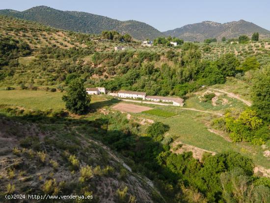 Dehesa zona Sierra Magina en Cambil y Huelma - Jaen - JAEN