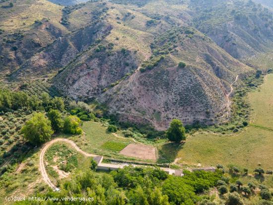 Dehesa zona Sierra Magina en Cambil y Huelma - Jaen - JAEN