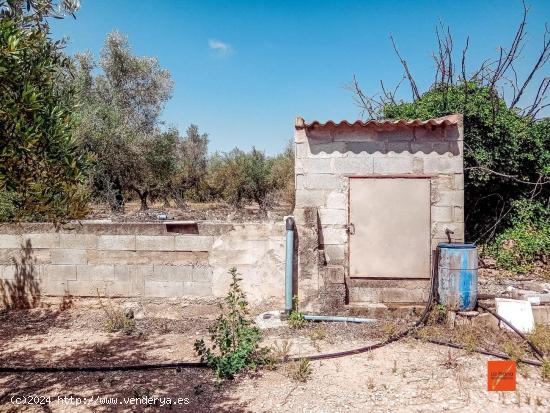  FINCA RUSTICA EN VENTA EN SANTA BARBARA (TARRAGONA) - TARRAGONA 