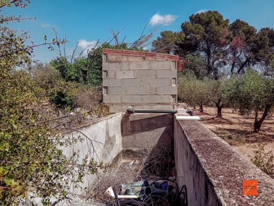 FINCA RUSTICA EN VENTA EN SANTA BARBARA (TARRAGONA) - TARRAGONA