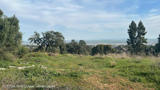  PARCELA EN BRILLANTE ALTO ( CERRILLO) - CORDOBA 