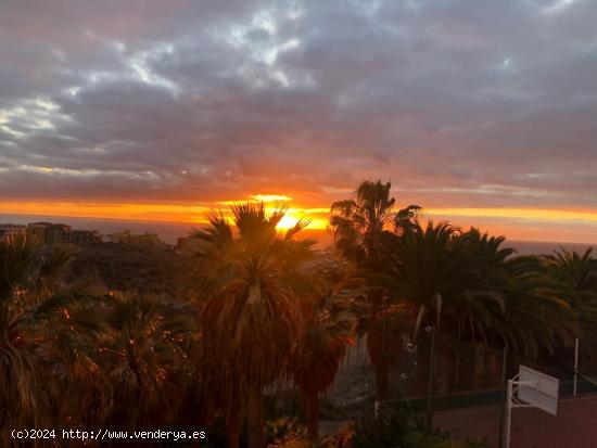 Apartamento dos dormitorios reformado en Atalaya Court - SANTA CRUZ DE TENERIFE