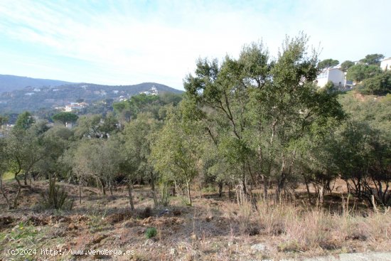 Suelo urbano en venta  en Calonge - Girona