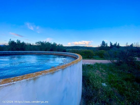 Encantador terreno con agua y luz de 1,2 ha