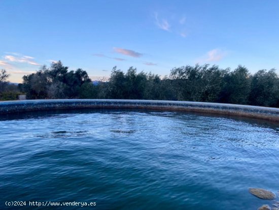 Encantador terreno con agua y luz de 1,2 ha