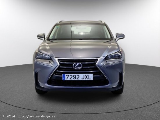 LEXUS NX en venta en LalÃ­n (Pontevedra) - LalÃ­n