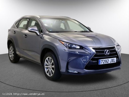 LEXUS NX en venta en LalÃ­n (Pontevedra) - LalÃ­n