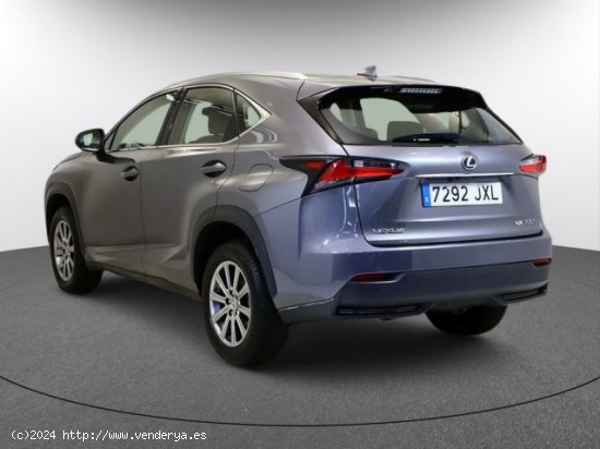 LEXUS NX en venta en LalÃ­n (Pontevedra) - LalÃ­n