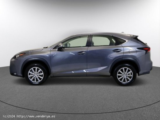 LEXUS NX en venta en LalÃ­n (Pontevedra) - LalÃ­n