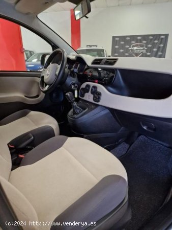 FIAT Panda en venta en Santa Cruz de Tenerife (S.C. Tenerife) - Santa Cruz de Tenerife