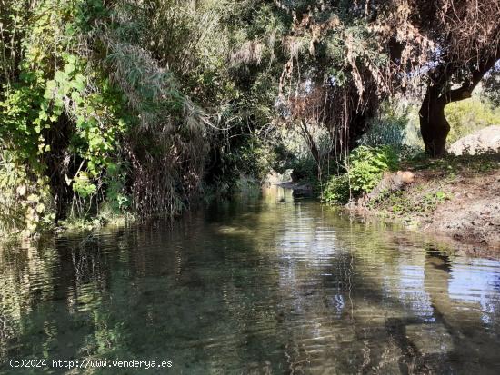 SE VENDE ESTUPENDO TERRENO  EN ZAHARA DE LA SIERRA - CADIZ