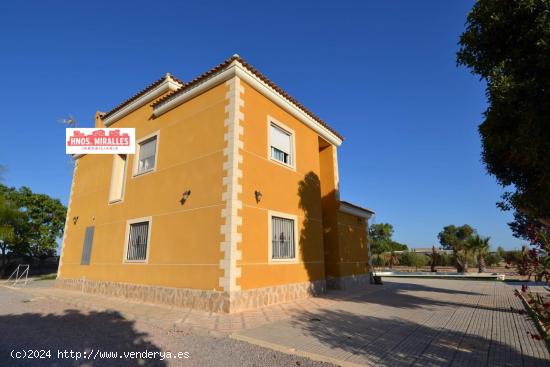 Se alquila o Vende Chalet en Perleta Elche (Alicante) - ALICANTE