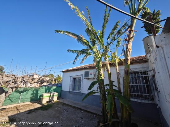 CASA DE HUERTA CON PARCELA - MURCIA