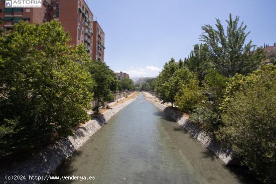 Espectacular adosada junto al paseo de la Bicha en Granada - GRANADA