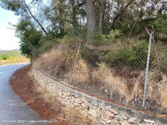 Se vende terreno con caseta. - VALENCIA