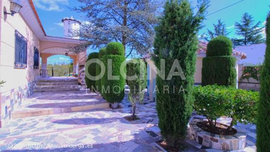 Magnífica finca en La Devesa de Ibi a precio de ocasión - ALICANTE