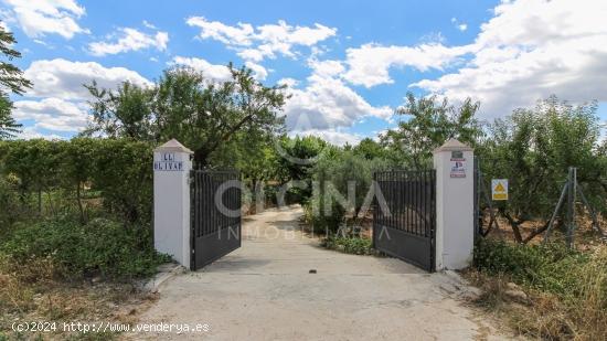 Finca El Olivar. Más de 4 hectáreas en un entorno privilegiado a las faldas de la Sierra de Mariol