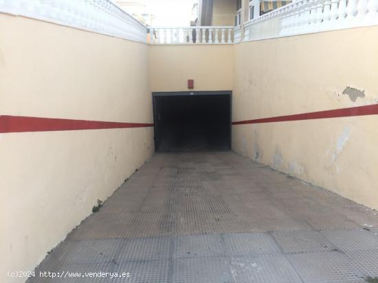 Plazas de garaje en Calle Federico López Pizana en Torrevieja - ALICANTE