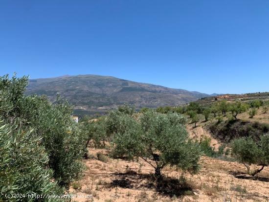  Magnifica finca (Restábal) - GRANADA 