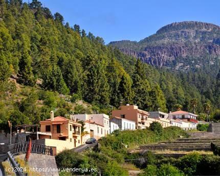 Terreno en venta en Vilaflor - SANTA CRUZ DE TENERIFE