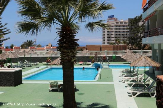 Estudio en San Eugenio Bajo - SANTA CRUZ DE TENERIFE