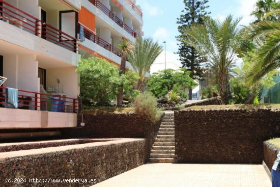 Estudio en San Eugenio Bajo - SANTA CRUZ DE TENERIFE