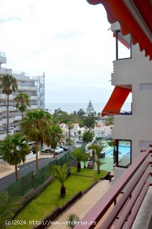 Estudio en San Eugenio Bajo - SANTA CRUZ DE TENERIFE