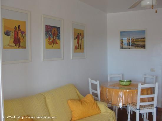 Apartamento de Lujo - SANTA CRUZ DE TENERIFE