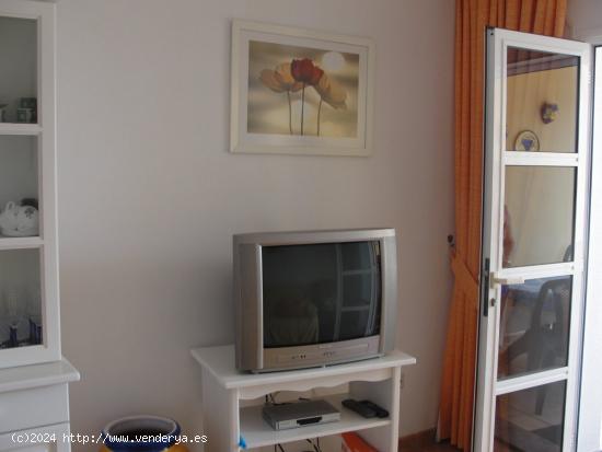 Apartamento de Lujo - SANTA CRUZ DE TENERIFE