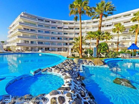 Apartamento con terraza en Club Atlantis - SANTA CRUZ DE TENERIFE