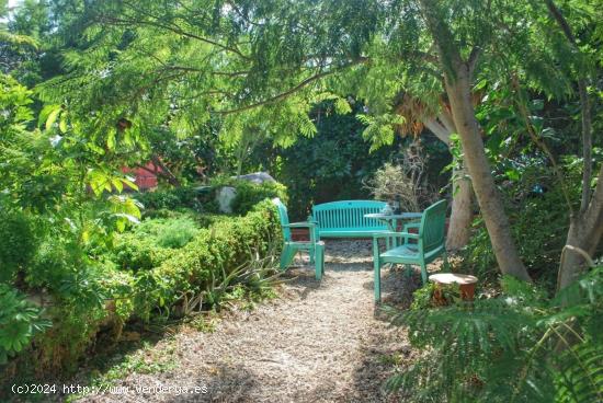 Finca rústica en las Chafiras - SANTA CRUZ DE TENERIFE