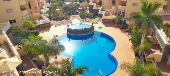 Magnífico Ático-Duplex con Insuperables vistas a Mar, Piscina y Montaña en Los Cristianos. - SANT