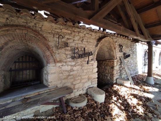 OPORTUNIDAD DE NEGOCIO. BODEGA  EL CERCAO  - LEON