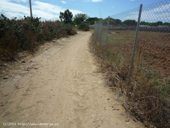  Terreno en el Pinar de la Villa cercano a la Ermita Virgen de Regla.... - CADIZ 