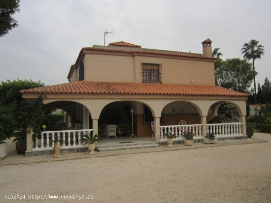  MAGNIFICO CHALET EN ELCHE EN EL CAMINO VIEJO DE SANTA POLA - ALICANTE 