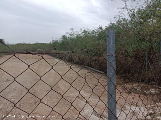 Terreno en Javalí Nuevo - MURCIA