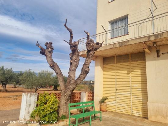 FINCA RUSTICA EN VENTA - TARRAGONA