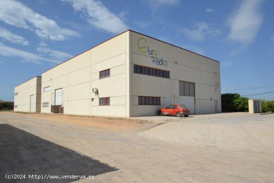  Nave industrial con actividad en Deltebre - TARRAGONA 