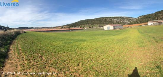  TERRENO ARAUZO DE MIEL - BURGOS 