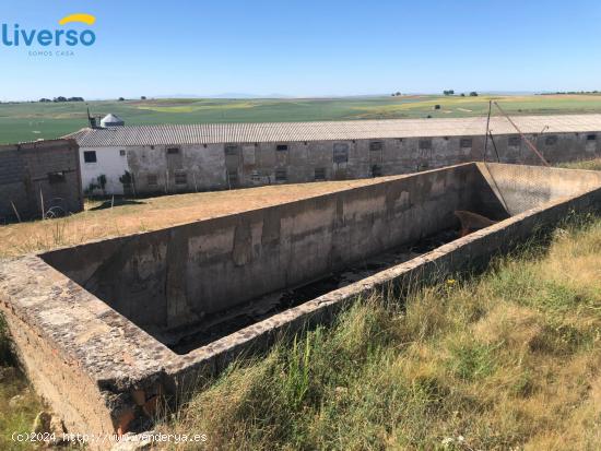 GRANJA DE OVEJAS EN FUNCIONAMIENTO - BURGOS