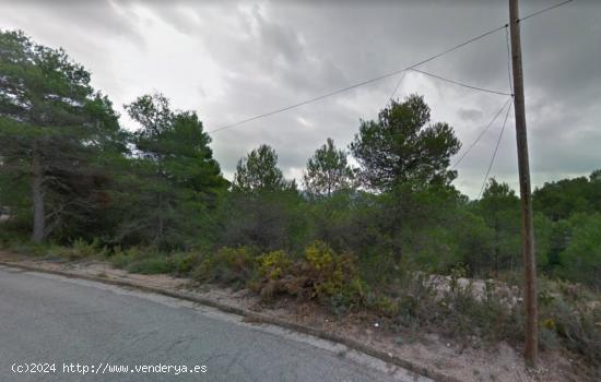 Terreno con vistas en Pinedas Altas - TARRAGONA